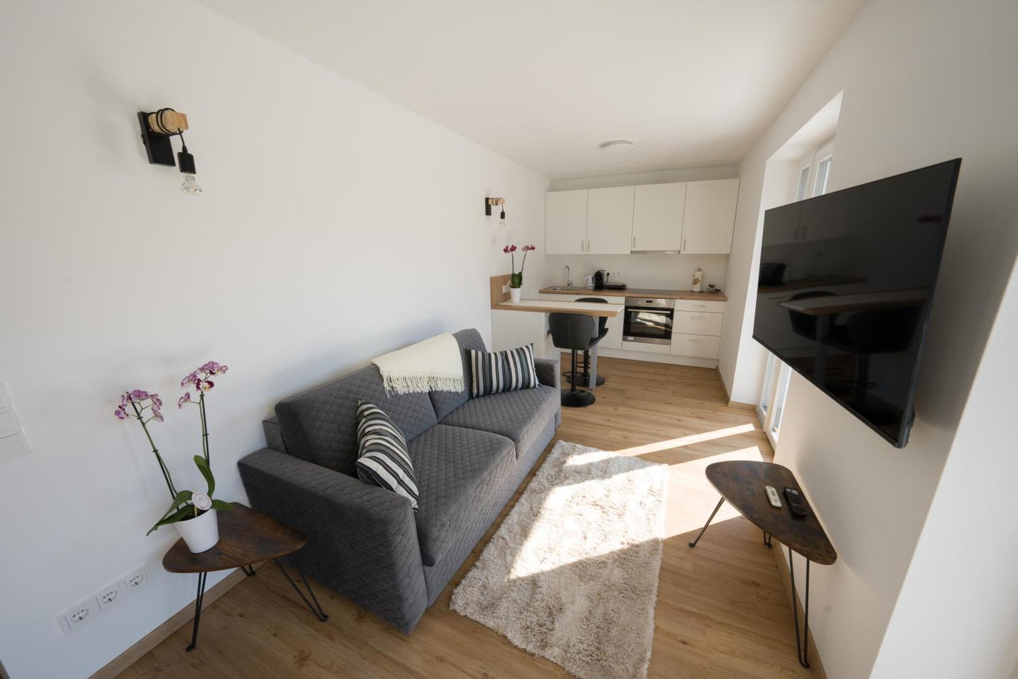 Austrian Apartments Бад Гоисерн Экстерьер фото